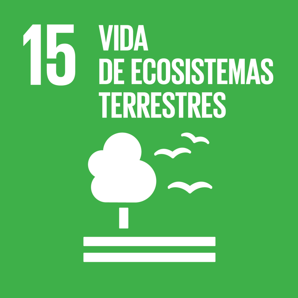 Objetivo 15: Vida de ecosistemas terrestres